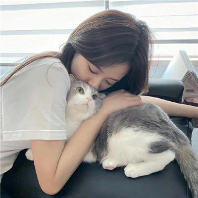 完美妻子的完美复仇计划