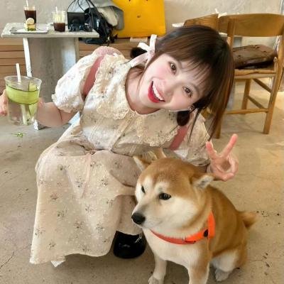 我为假日狂